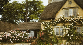 Le Cottagecore, un art de vivre