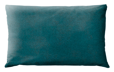 coussin bleu canard