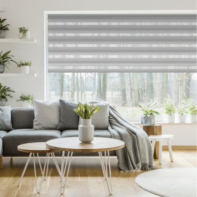 renovation fenetre