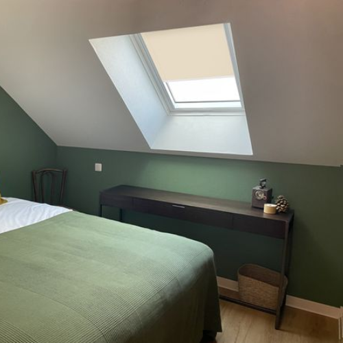 store velux occultant