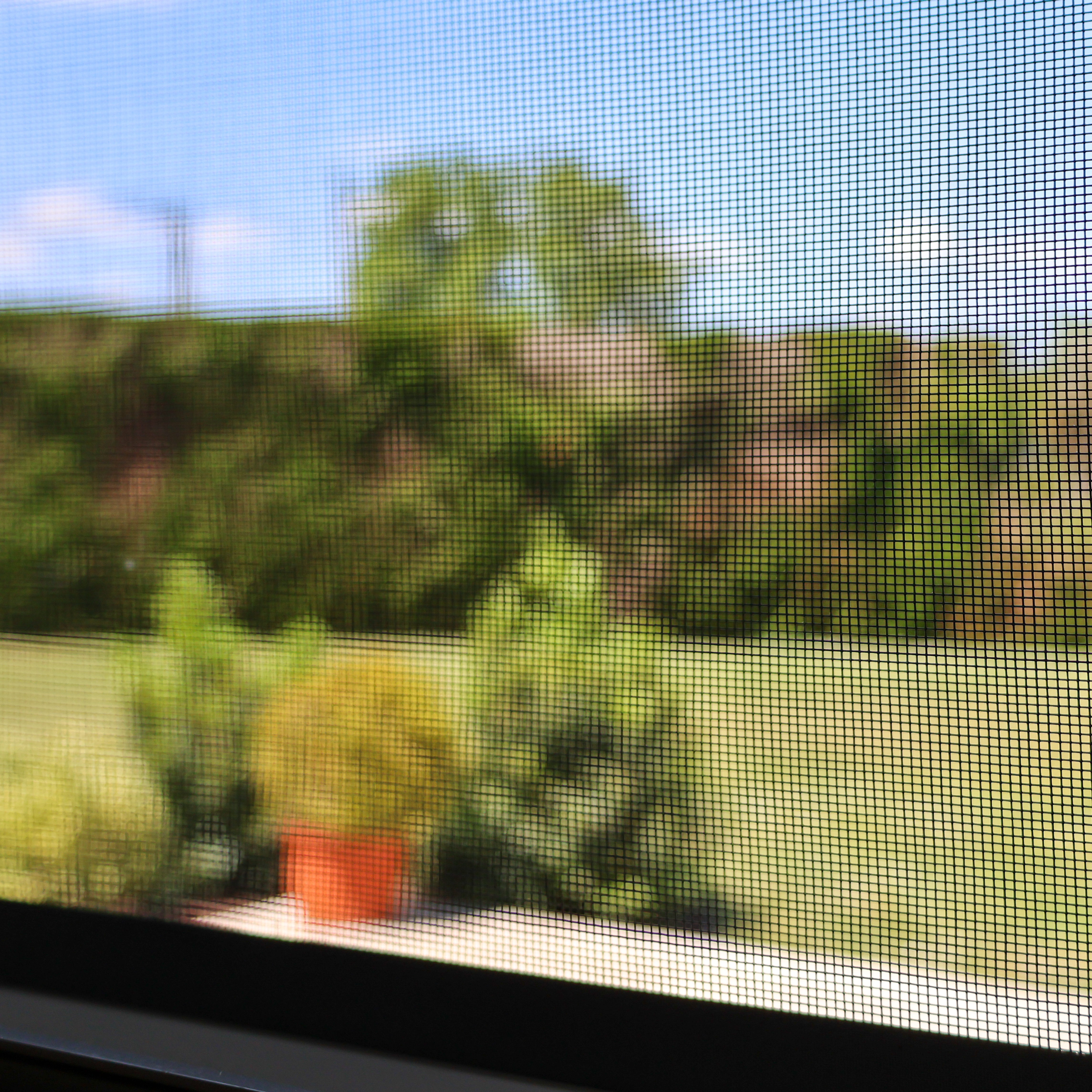 Moustiquaire à enrouleur - Fermeture hermétique par balais - Vue sur extérieur nette — vue 5