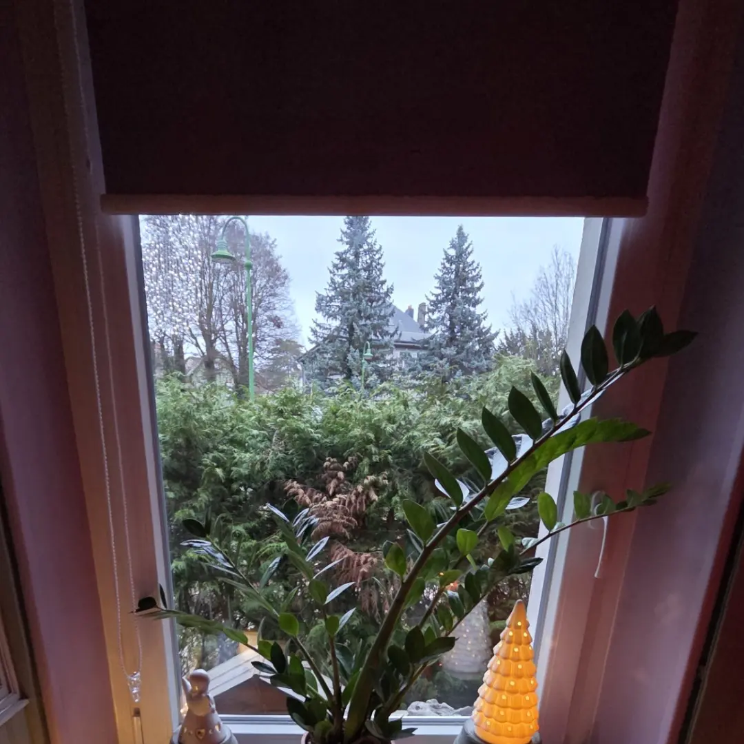 Store enrouleur occultant palier ouvert