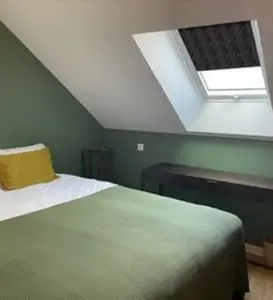  Stores compatibles avec les fenêtres de toit VELUX® Tamisants à motifs 