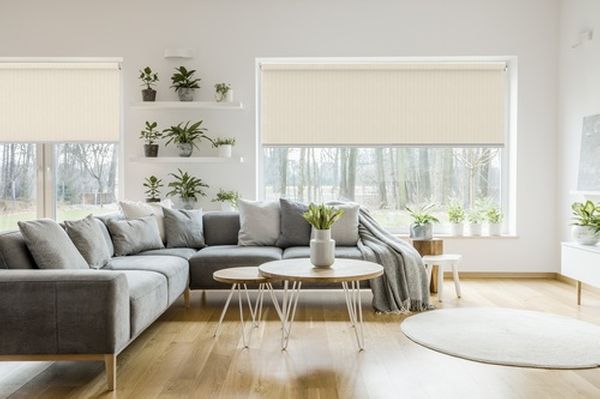  Stores Enrouleurs Screen Unis