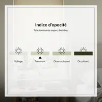 SR-Schema-d-occultation.webp