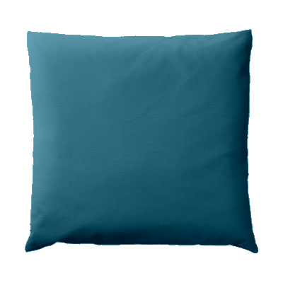 Coussin bleu canard